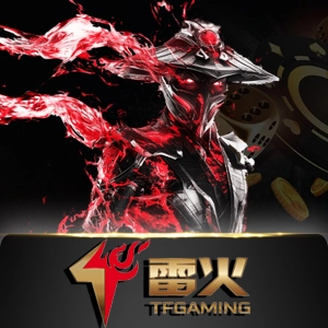 tfgamingarcade - goodgaming138